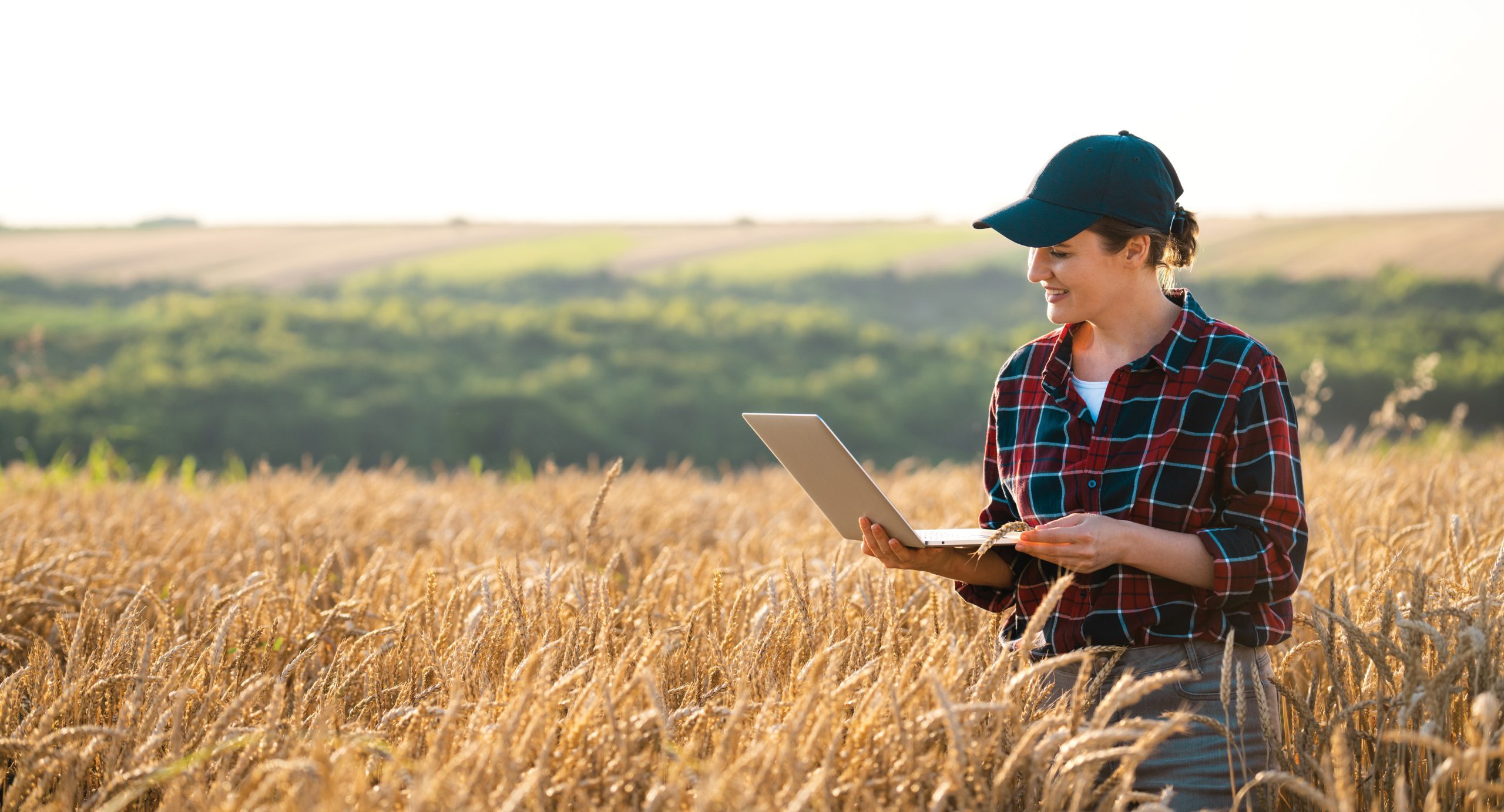 female farmer in a wheat field with a laptop connected to the internet
